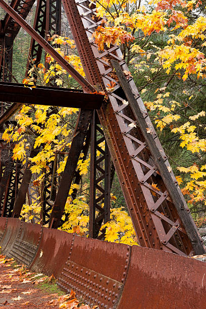 część tumwater canyon bridge. - vertical photography color image tumwater canyon zdjęcia i obrazy z banku zdjęć