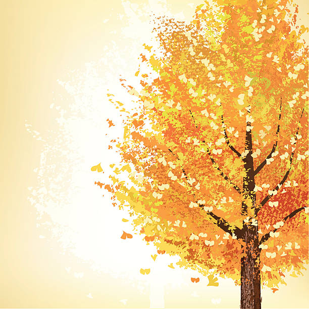 Golden tree in Autumn vector art illustration