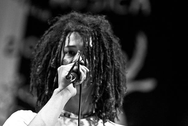 istock Rasta hair singer performing live on stage 523312653