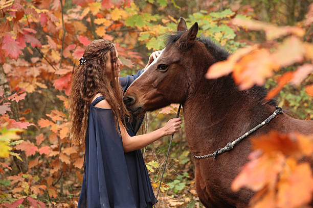 istock Nice girl with brown horse in autumn 523314849
