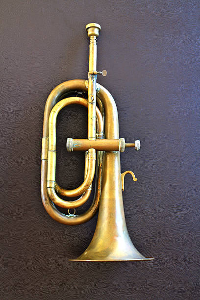 istock Old vintage trumpet isolated 523315033