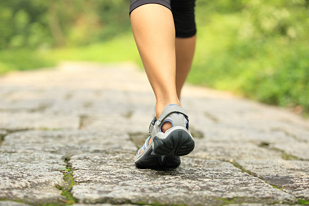 istock hiker legs hiking on stone trail 523315229