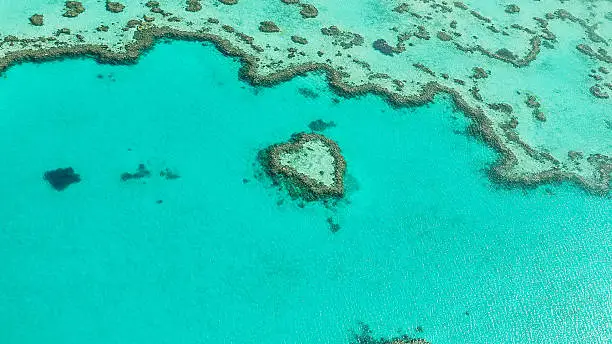 Heart Reef in the Great Barrier Reer in Australia