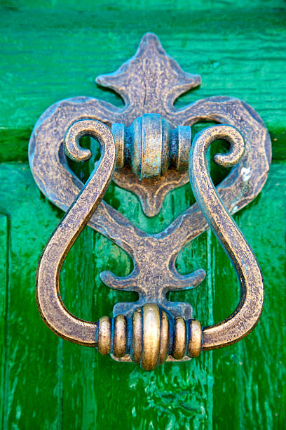 istock spain canarias brass  in a green closed  lanzarote abstract 523354601