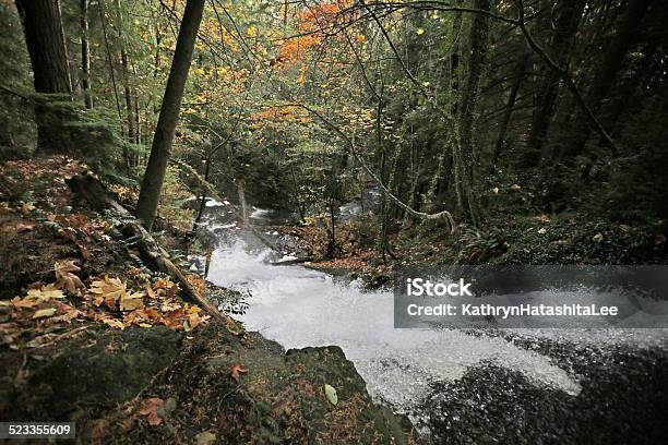 Chase River Nanaimo British Columbia Canada In Autumn Stock Photo - Download Image Now