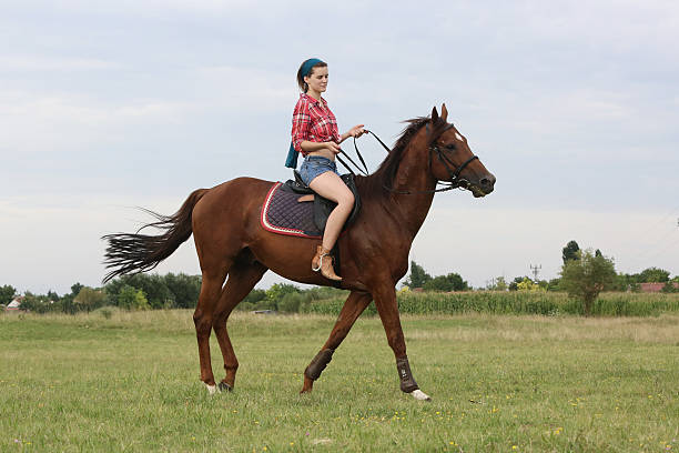 menina com a cavalo: - jockey shorts - fotografias e filmes do acervo