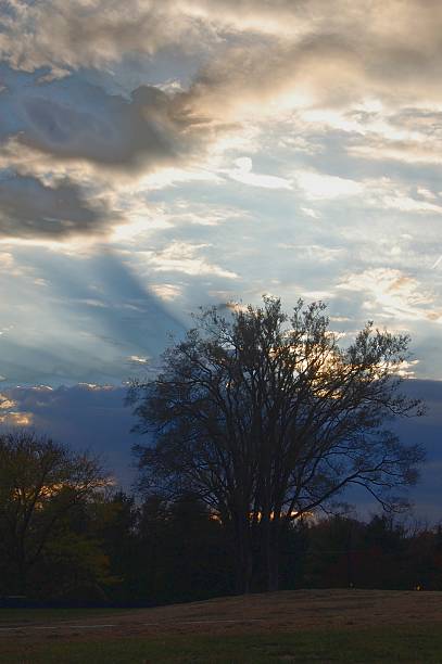 Sunrise on Maryland Sunset in Towson, MD towson photos stock pictures, royalty-free photos & images