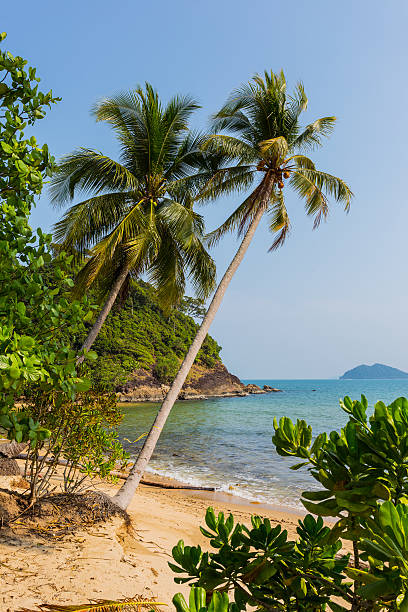 istock Beautiful tropical beach at island Koh Chang 523375860