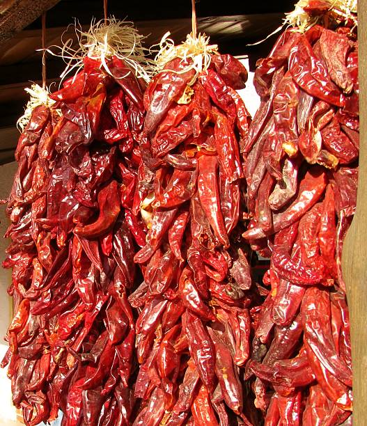 istock Hanging red chili ristas as a background 523377102