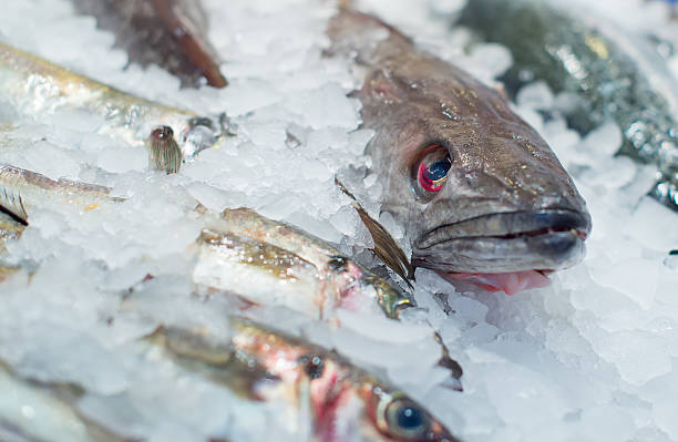 istock Frozen fish on the market. 523377117