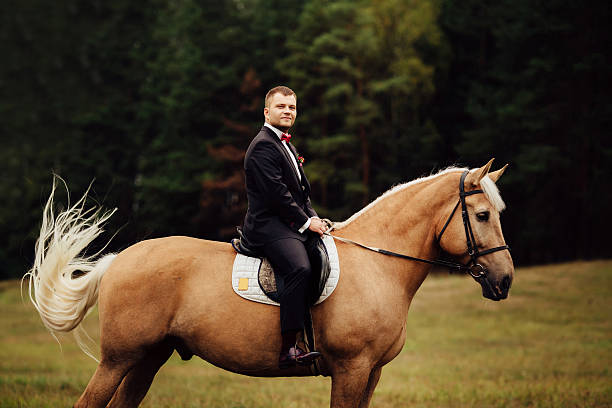 istock handsome groom sitting on brown horse in forest 523377130