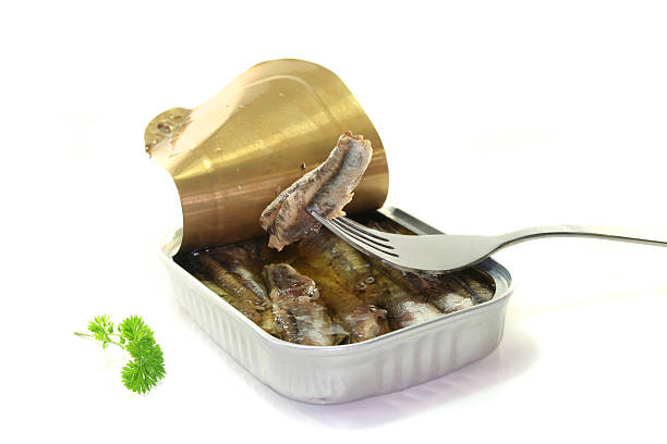 istock Tin anchovies 523377537