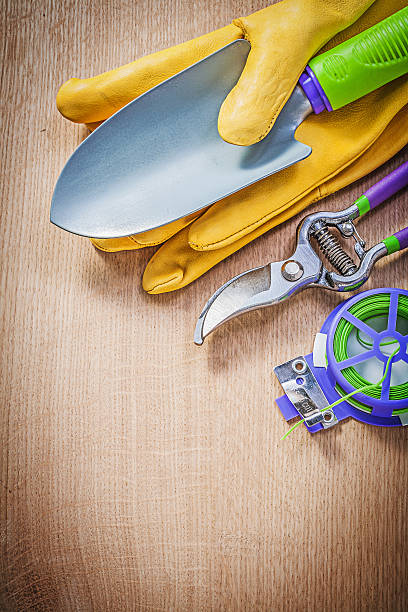 istock Safety gloves hand spade pruning shears soft twist tie on 523378504