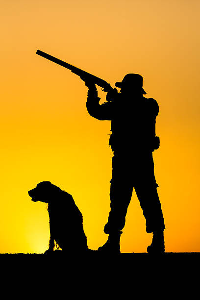 istock Hunter and Dog in Sunrise 523378589