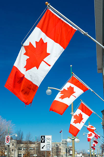 istock Canadian flags waving over blue sky 523379118