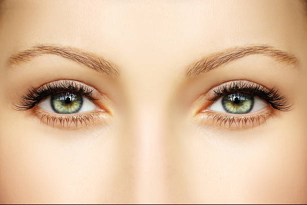 istock Closeup of human eyes 523379121