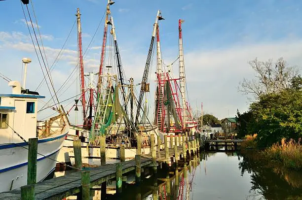 Shrimp boats line the pier in the small southern town of Darien,Georgia. Many of these beats have been handed down for generations a reflect a waterman lifestyle