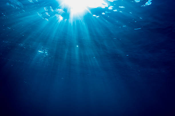 rayo de sol-palau, micronesia - sunbeam underwater blue light fotografías e imágenes de stock