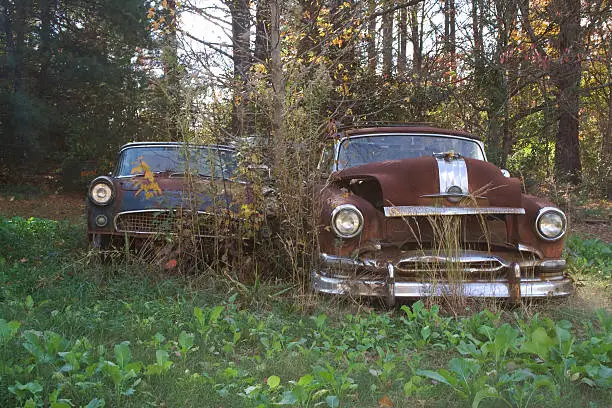 Disgarded old cars left in a field, overgrown with weeds.