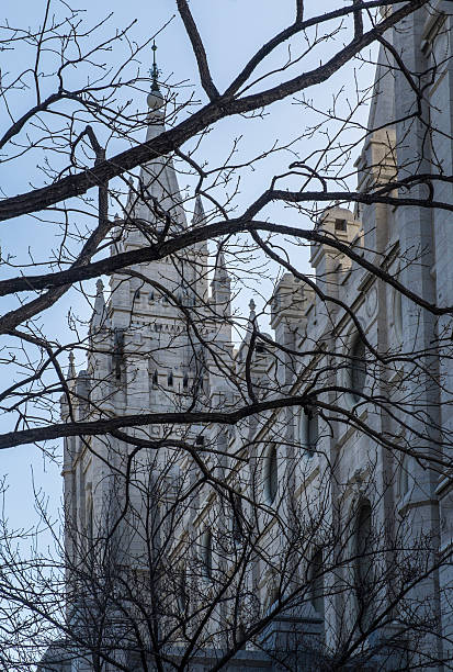 istock Mormon Temple and Tree Branches, Salt Lake City 523384362