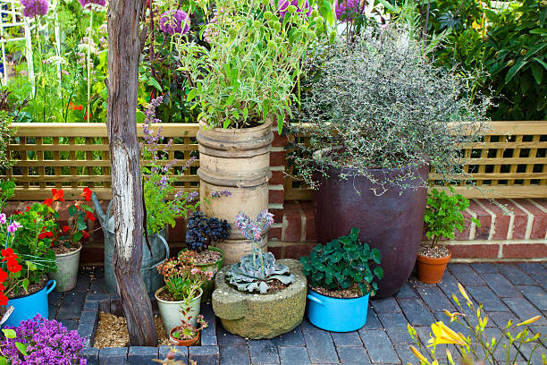 istock Garden landscape with potted plants 523385796