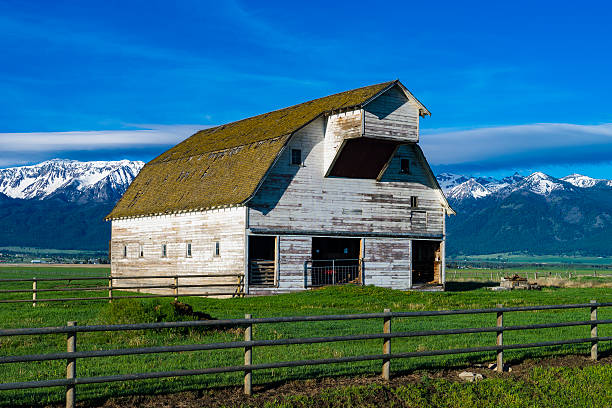 istock White barn near Mountains in Eastern Oregon 523386858