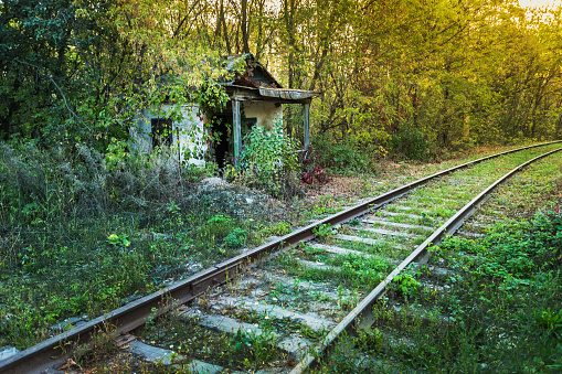 Old abandoned shack stationmaster in the forest
