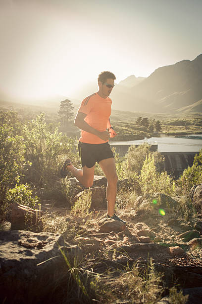 istock Running in the early morning catching the sunlight! 523388974