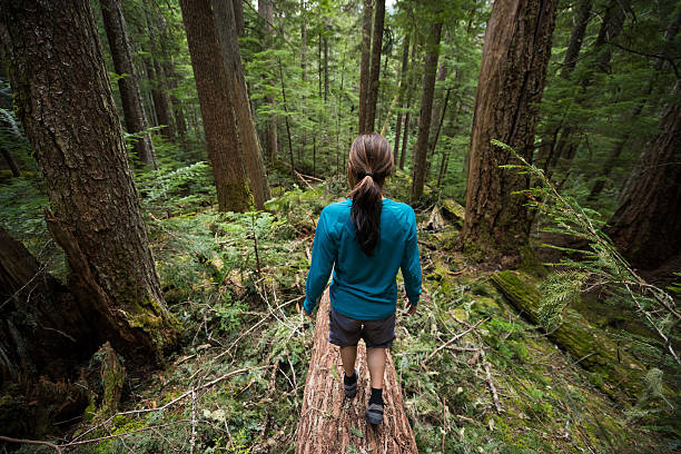 istock Hiking in stunning nature 523389364