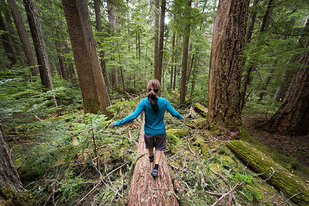 istock Hiking in stunning nature 523389412