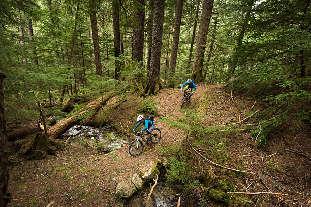 istock Couple biking in an old growth forest 523389592
