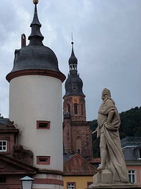 vue de heidleberg, en allemagne - heidleberg photos et images de collection