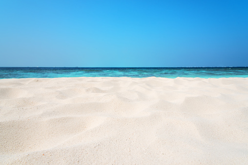 Tropical beach sand dune background