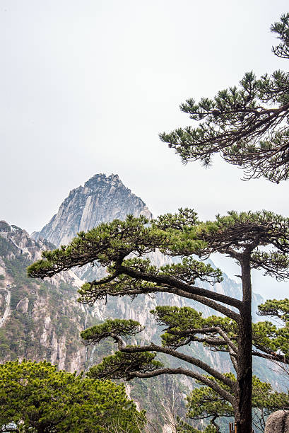 istock Huangshan Mountain(yellow mountain), Anhui, China 523390724