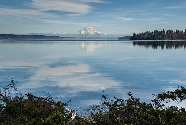 Mount Rainier Reflected in Puget Sound The landscapes and seascapes of Puget Sound are a constant source of inspiration for photographers. This picture of a tranquil Puget Sound reflecting the puffy clouds and blue sky was photographed from Penrose Point State Park, Washington State, USA. puget sound stock pictures, royalty-free photos & images