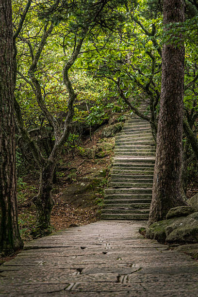 istock Huangshan Yellow mountains 523392049