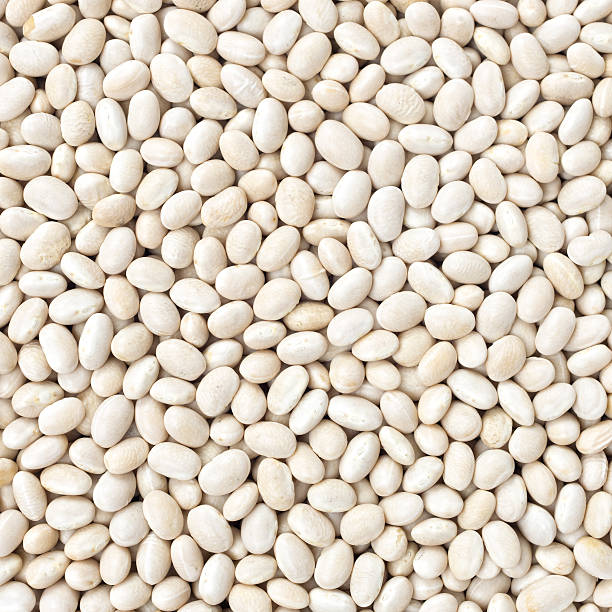 istock Small Navy, haricot, white pea, white kidney or Cannellini Purga 523392123