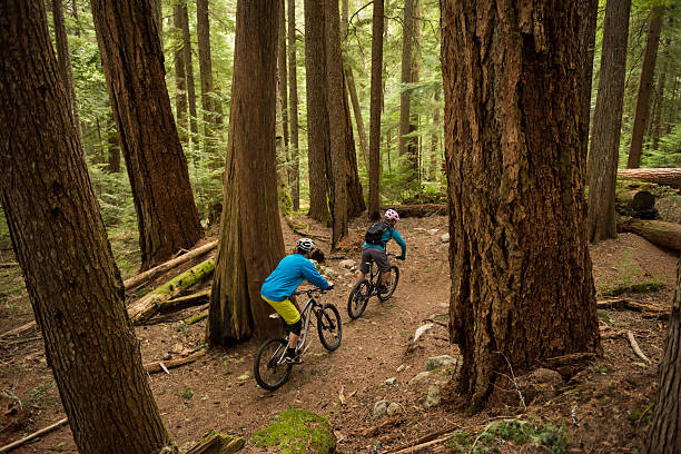 istock Couple biking in an old growth forest 523392190