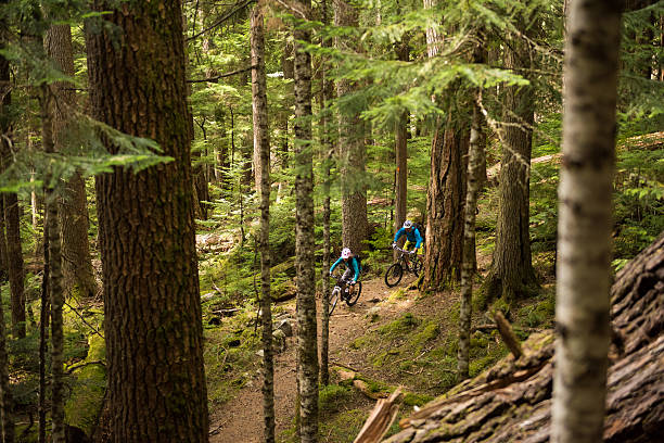istock Couple biking in an old growth forest 523392324