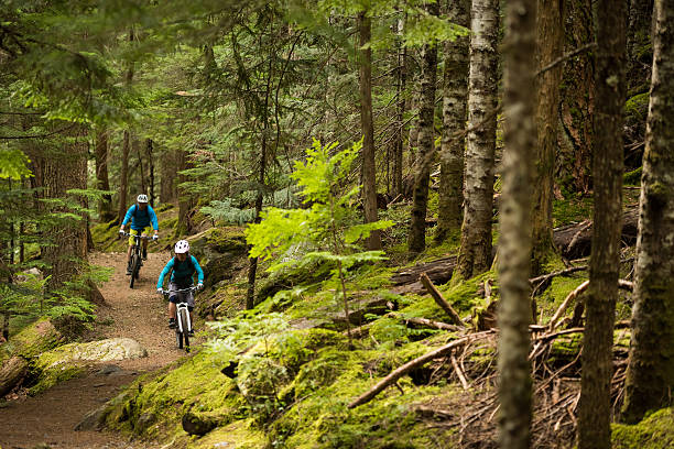 paar radfahren in einem altbestehenden wald - whistler britisch kolumbien stock-fotos und bilder