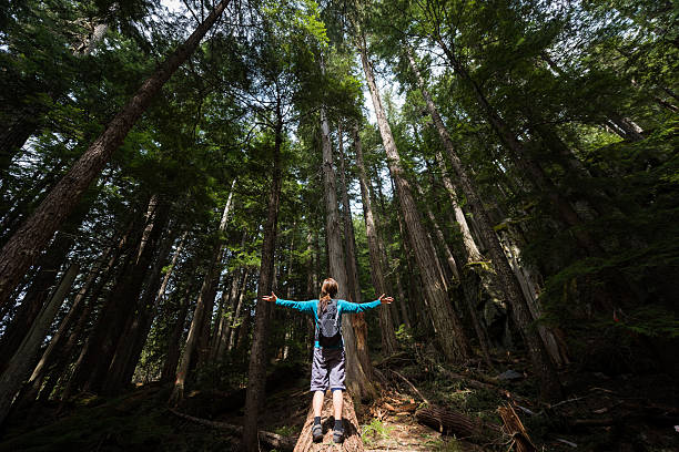 istock Hiker rejoicing in a temperate rainforest 523392550
