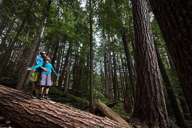 istock Hikers rejoicing in a temperate rainforest 523392690