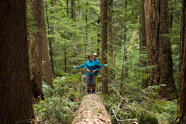 istock Hikers rejoicing in a temperate rainforest 523392770