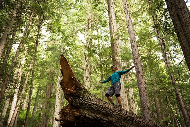istock Hiker rejoicing in a temperate rainforest 523393118