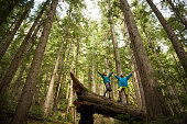 Hikers rejoicing in a temperate rainforest