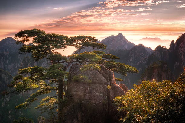 istock Huangshan Yellow mountains 523394419