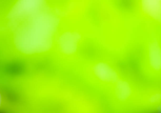 istock Background of colorful green bokeh 523396711