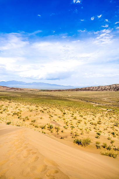 istock bushes in the sand desert wih mountains at background 523396732