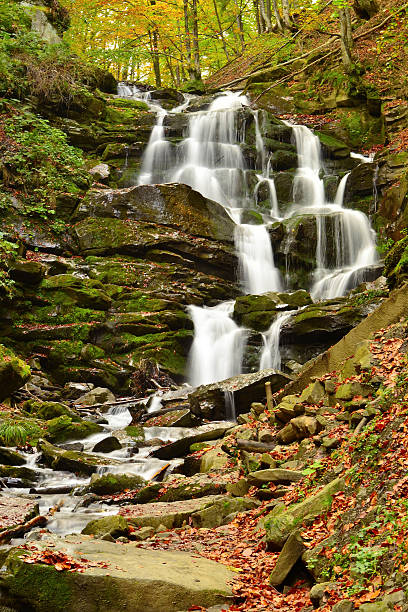 istock Waterfall, Carpathian mountains, Ukraine 523397071