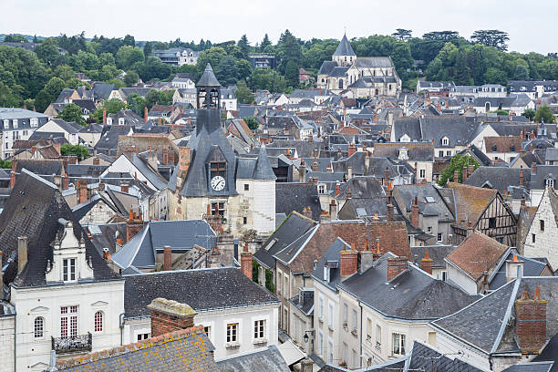 istock Amboise Cityscape France 523397083